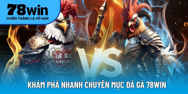 Khám phá nhanh chuyên mục đá gà 78WIN